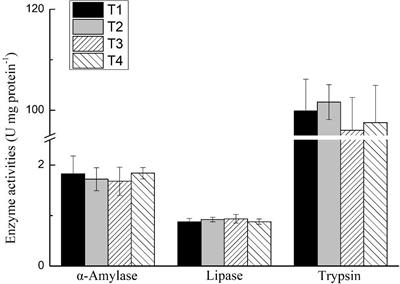 Effects of Time-Dependent Protein Restriction on Growth Performance, Digestibility, and mTOR Signaling Pathways in Juvenile White Shrimp Litopenaeus vannamei